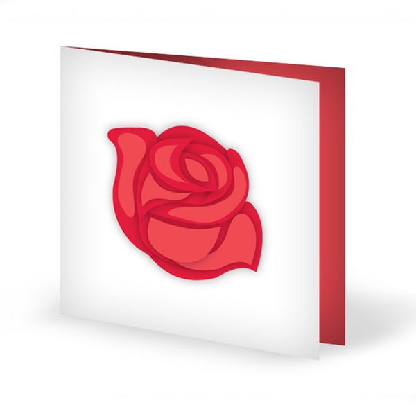 Rose Red Warmth Card | Buy Stationary in Dubai UAE | Gifts