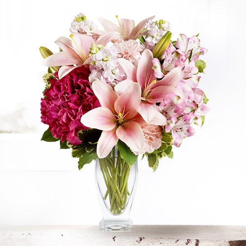 So Special | Buy Flowers in Dubai UAE | Gifts